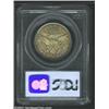 Image 2 : 1892 50C MS64 PCGS. The obverse has blushes of sea-green and lavender patina, while the reverse has.