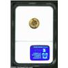 Image 4 : 1861 G$1 MS66 NGC. The 1861 is a curious issue. It is common enough in lower grades, but high grade.