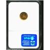 Image 4 : 1903 G$1 Louisiana Purchase/Jefferson MS65 NGC. Lovely reddish-gold color envelops both sides of thi