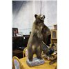 Image 1 : TAXIDERMIED BROWN BEAR