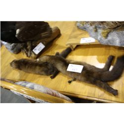 PAIR OF MONGOOSE FURS