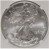 Image 2 : 2003 AMERICAN SILVER EAGLE, NGC MS-69 NICE!