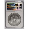 Image 4 : 2003 AMERICAN SILVER EAGLE, NGC MS-69 NICE!
