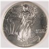 Image 1 : 1993 SILVER AMERICAN EAGLE