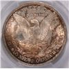 Image 3 : 1884-O MORGAN SILVER DOLLAR, PCGS MS-64 RAINBOW COLOR