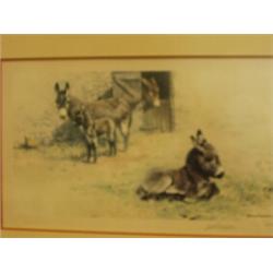 Framed signed limited edition David Shepherd print 62/850 of donkeys…