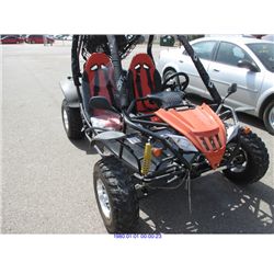2010 - GO CART DF150GKA