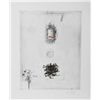 Image 1 : Donald Saff, Chair Swirl Plant, Aquatint Etching