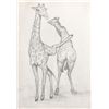 Image 2 : Michelle Rollman, Giraffe Kicking Giraffe, Graphite Drawing