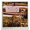 Image 1 : Robert Rauschenberg, Pink Flower Sheet, Chinese Summerhall, C-Print Photograph