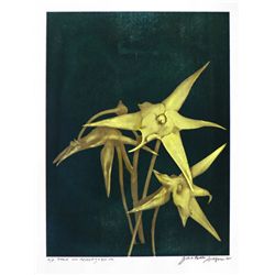 Jonathan Singer, Star of Madagascar, Print - White Tulip Technique