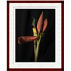 Image 1 : Jonathan Singer, Banana, Digital Photograph