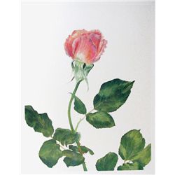 Carol Ann Bolt, Pink Rose, Lithograph