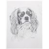 Image 1 : Rex Flood, Cavalier King Cocker Spaniel, Drawing