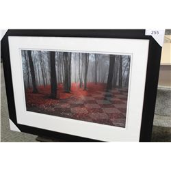 THE FOREST IN AUTUMN 231/950 LIZ LANGDON LIMITED EDITION PRINT