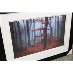 THE FOREST IN AUTUMN 204/950 LIZ LANGDON LIMITED EDITION PRINT