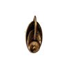 Image 1 : Star Trek Deep Space Nine Bajoran Collar Pin