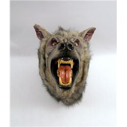 American Werewolf In London Rick Baker Signed Werewolf Head