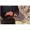 Image 15 : 3:10 To Yuma Ben Wade Russell Crowe Hero Hand Of God Pistol