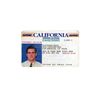 Image 1 : Liar Liar Fletcher Reede (Jim Carrey) California Driver License Prop