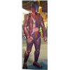 Image 1 : Mirror Mirror Mannequin (Alexandre Sazonov) Movie Costumes