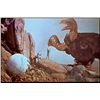 Image 5 : 7th Voyage Of Sinbad Original Production Harryhausen Roc Bird Maquette