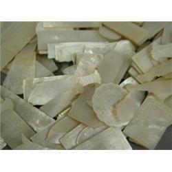 A collection of various mother of pearl counters of different sizes, shapes etc. Est. 200/300...