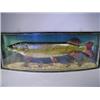 Image 1 : A stuffed and mounted pike preserved J. Cooper & Sons, in a bow fronted display case, inscribed '...