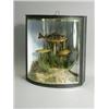 Image 1 : A case of three small fish with bow glass, 'Birmingham Waterways, November 1937', 35cm high Est....