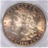 Image 2 : 1881 MORGAN SILVER DOLLAR, PCGS MS-64+  GREAT COLOR!