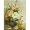 Image 1 : 19th Century STILL LIFE WITH FLOWERS signed bottom left, Eliza Salmon, 1825, watercolour, 5...