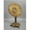 Image 1 : An early Victorian circular lamp table, the tilting parquetry top incorporating rosewood, sati...