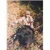 Image 1 : MONTANA BLACK BEAR HUNT By Silver Bow Outfitters