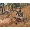 Image 2 : MONTANA YOUTH, WOMEN’S OR SENIOR ELK AND DEER HUNT By Jack Creek Preserve Foundation