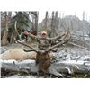 Image 1 : WYOMING RIFLE ELK & MULE DEER HUNT By Hidden Creek Outfitters