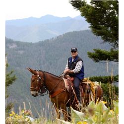 LEGACY, THE MOUNTAIN MULE By Black Mountain Outfitters