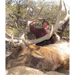 NEVADA JARBIDGE WILDERNESS ELK HUNT WITH LANDOWNER TAG By Cottonwood Ranch Hunting Services