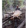 Image 2 : NEVADA JARBIDGE WILDERNESS ELK HUNT WITH LANDOWNER TAG By Cottonwood Ranch Hunting Services