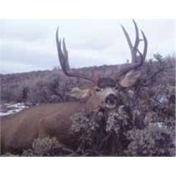 COLORADO “HUNT WITH A HERO” DEER HUNT By George Stark & RMEF Volunteers