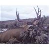 Image 1 : COLORADO “HUNT WITH A HERO” DEER HUNT By George Stark & RMEF Volunteers