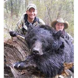 IDAHO SPRING BEAR HUNT FOR 2 By Wild Idaho Outdoors, Inc.
