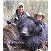 Image 1 : IDAHO SPRING BEAR HUNT FOR 2 By Wild Idaho Outdoors, Inc.