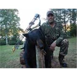 ONTARIO BLACK BEAR & FISHING TRIP By Horseshoe Hill Outfitters