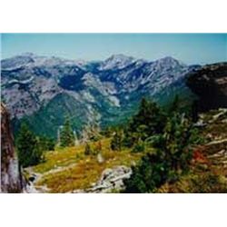 MONTANA FISHING/PACK TRIP FOR 4 By Silver Bow Outfitters