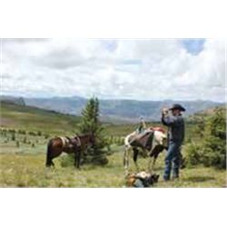 COLORADO FLAT TOPS WILDERNESS PACK TRIP FOR 2 By Ripple Creek Lodge