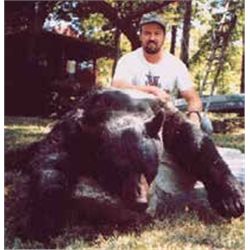 IDAHO ELK HUNT By B Bar C & Russell Pond Outfitters