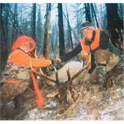 COLORADO ELK HUNT By Welder Outfitting Service