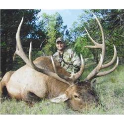 NEW MEXICO ELK HUNT WITH LANDOWNER TAG By Timberline Outfitters
