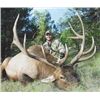 Image 1 : NEW MEXICO ELK HUNT WITH LANDOWNER TAG By Timberline Outfitters