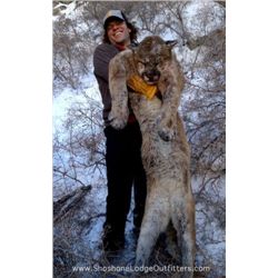 WYOMING MOUNTAIN LION HUNT By Shoshone Lodge Outfitters